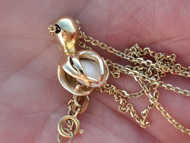 Savudrijski biser na Ankinom zlatnom lančiću